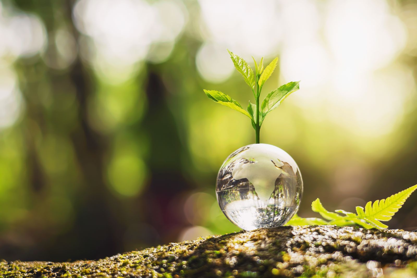 Sustainability